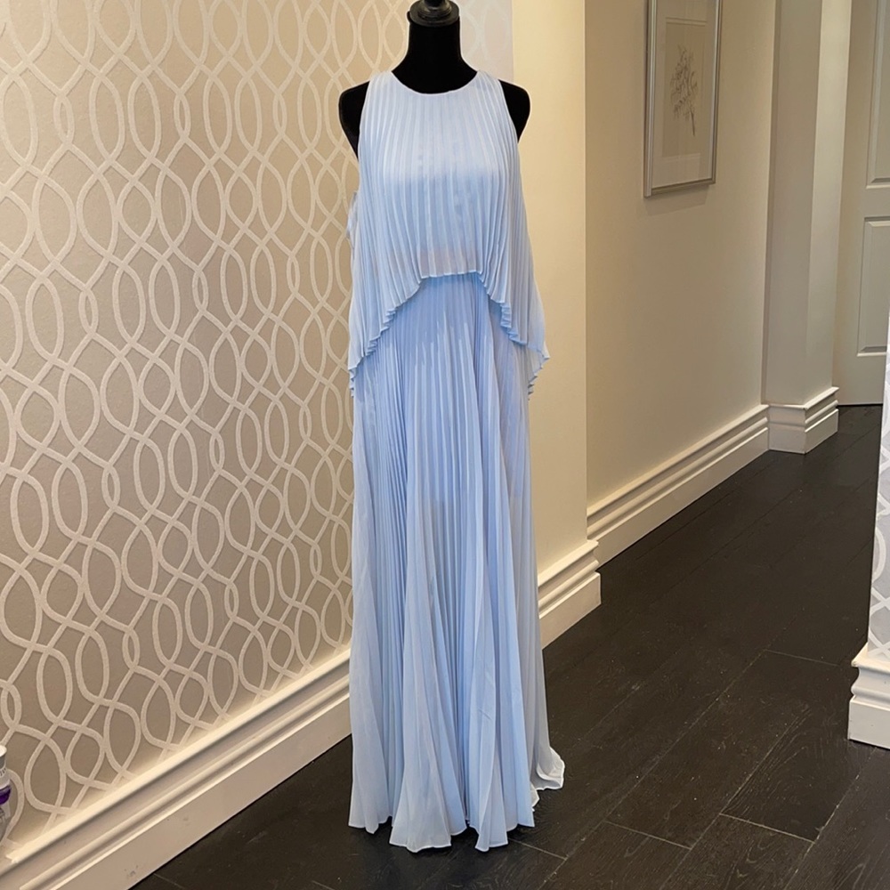 BCBG Max Azria pleated formal gown